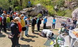 Image 10946
